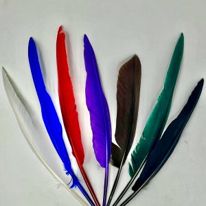 Gänsekiel Schreibfeder